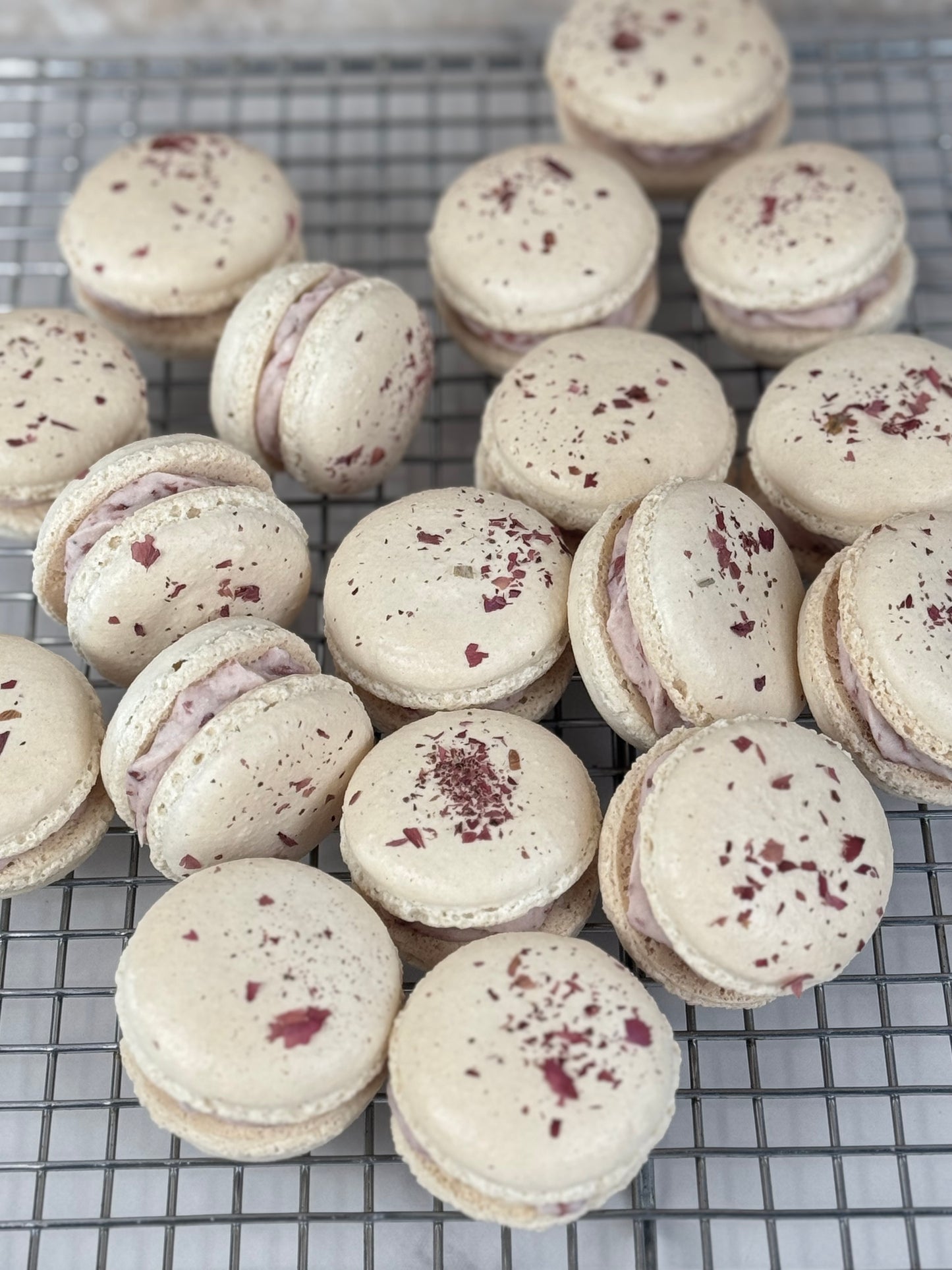 Organic Rose Macaron - 12 pieces of delicate French confections with rose-infused filling and almond meringue shells.