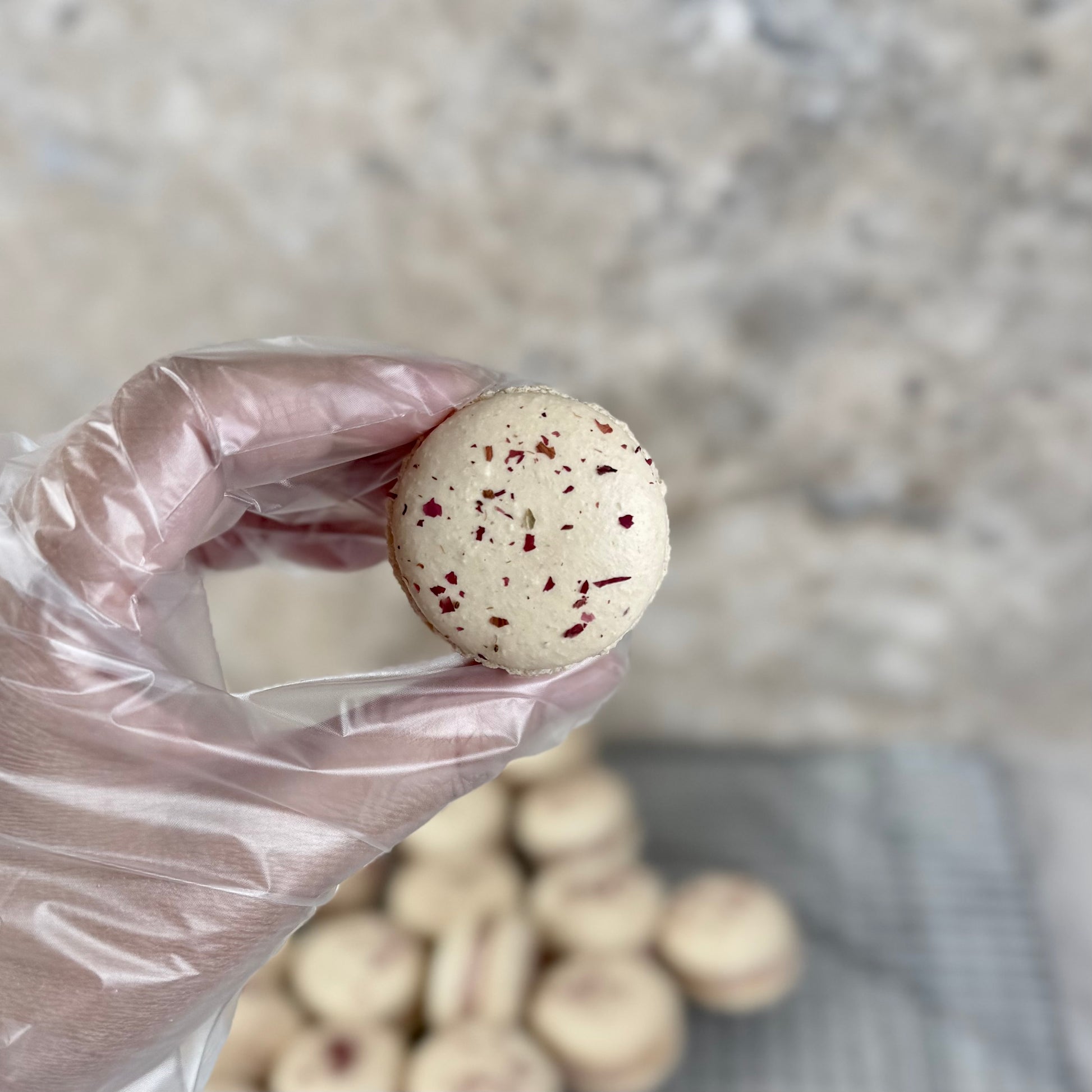 Organic Rose Macaron held in a gloved hand, showcasing its delicate design with rose petal flecks.