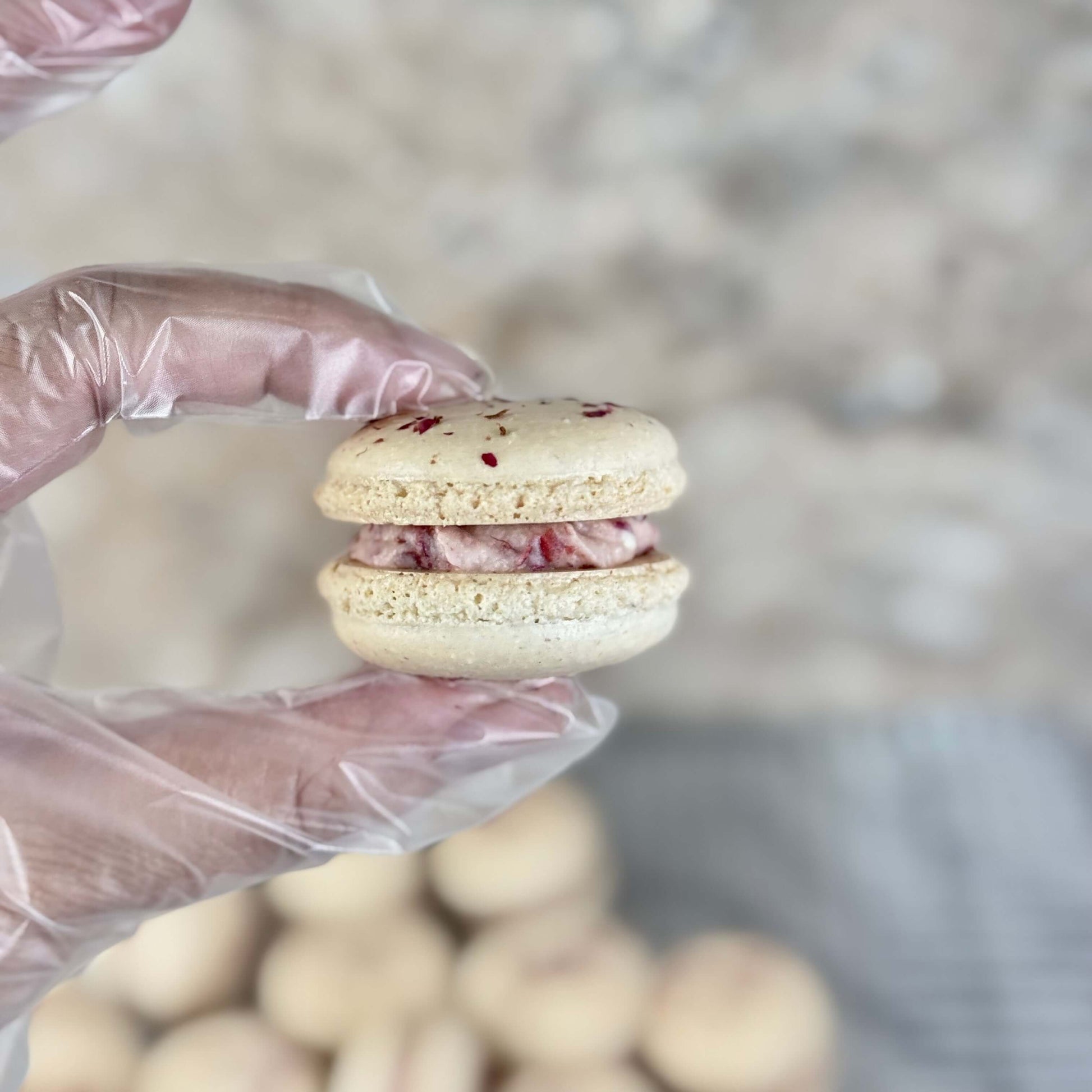 Organic rose macaron held in hand with pink filling and almond shell, showcasing delicate French confection.